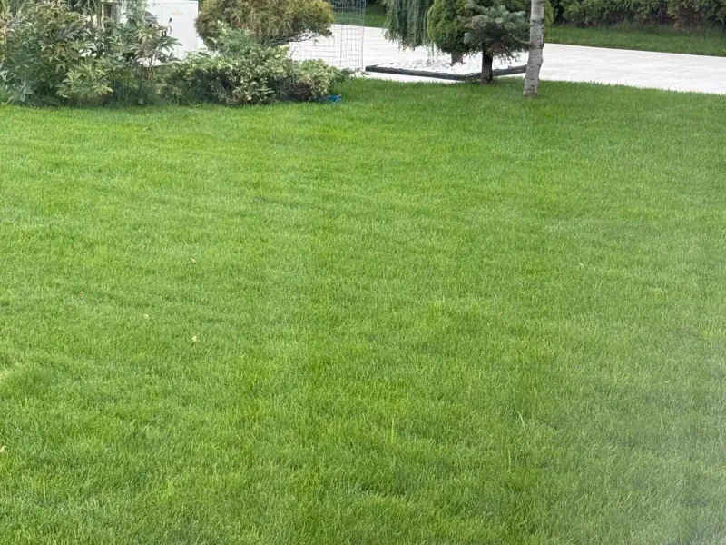 Realizacja ogrodu 10