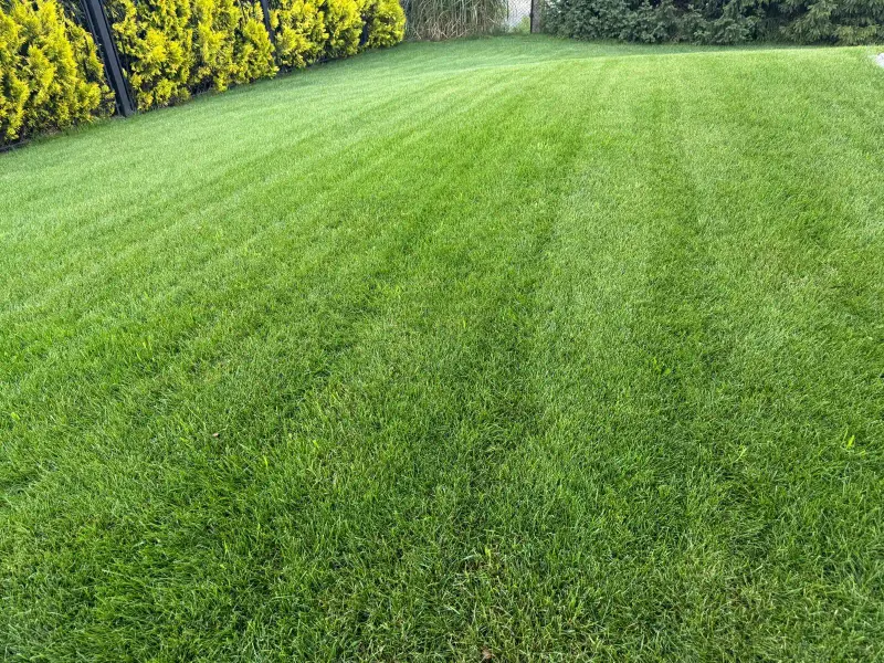 Realizacja ogrodu Tarnów 13