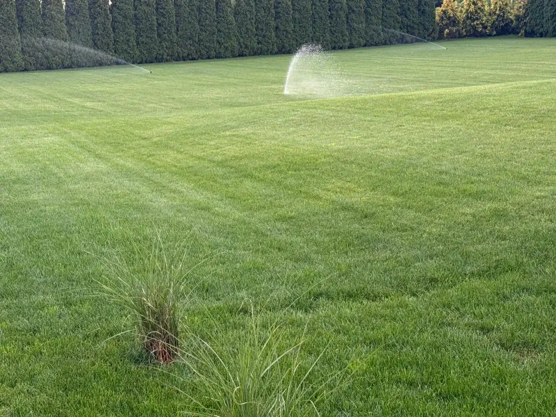 Realizacja ogrodu 14