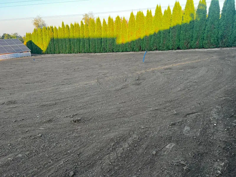 Realizacja ogrodu 17