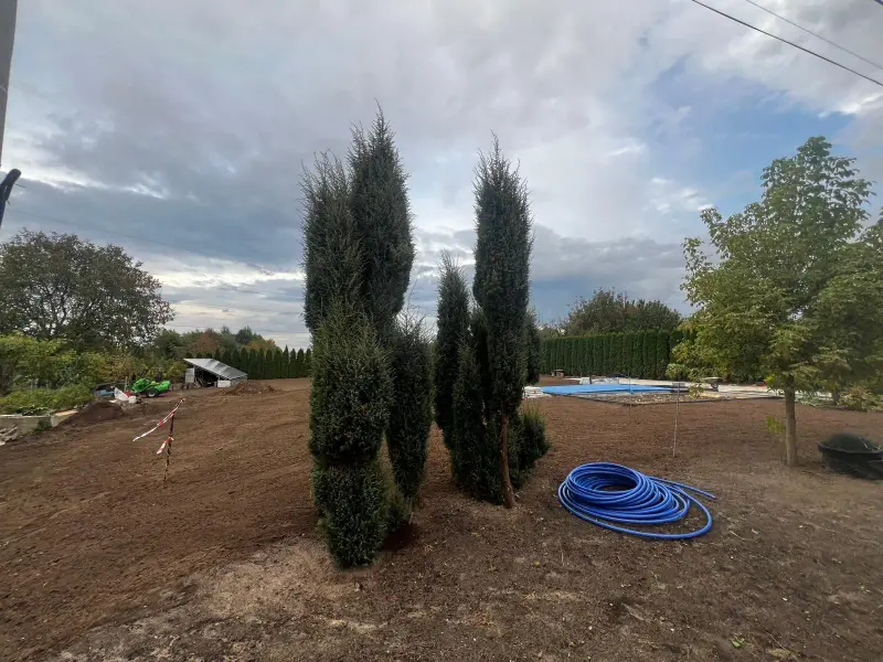 Realizacja ogrodu Tarnów 18