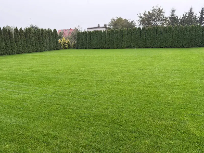 Realizacja ogrodu Tarnów 2