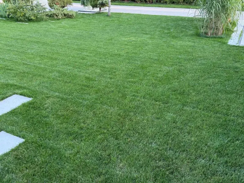 Realizacja ogrodu Tarnów 4