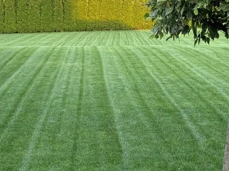 Realizacja ogrodu Tarnów 5
