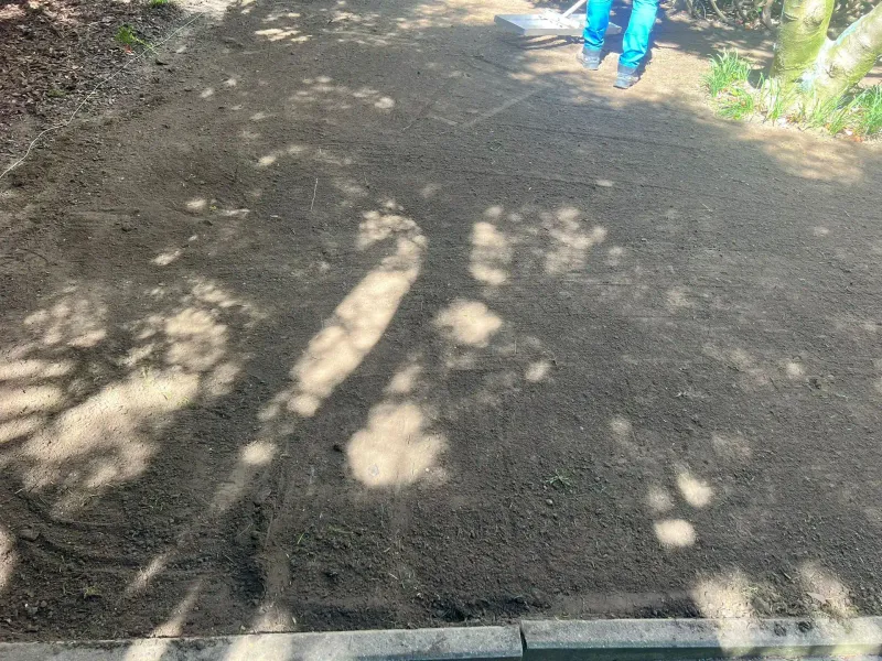 Realizacja ogrodu Kraków - widok 3